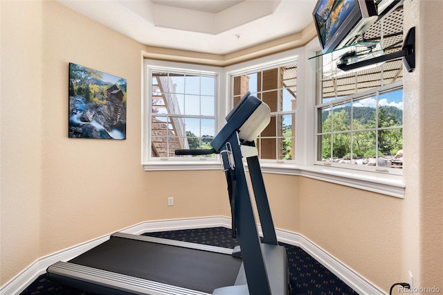 exercise room with a raised ceiling