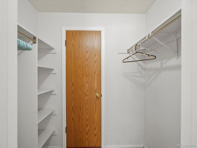 view of walk in closet