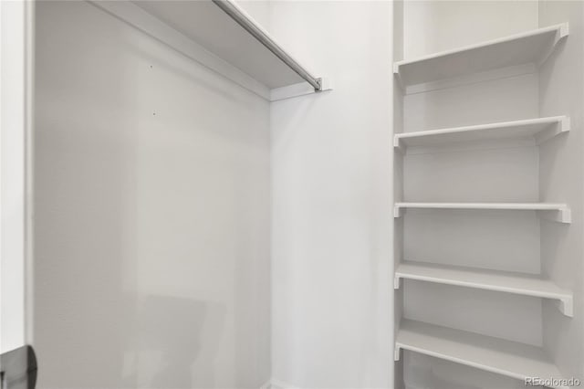 1409 Carlyle Park Cir, Highlands Ranch, CO 80129 - view of spacious closet