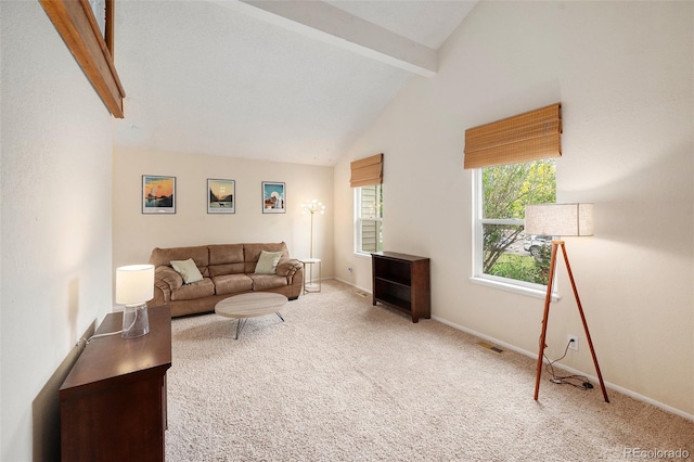 3756 S Mission Pkwy, Aurora, CO 80013 - living area featuring light colored carpet and baseboards