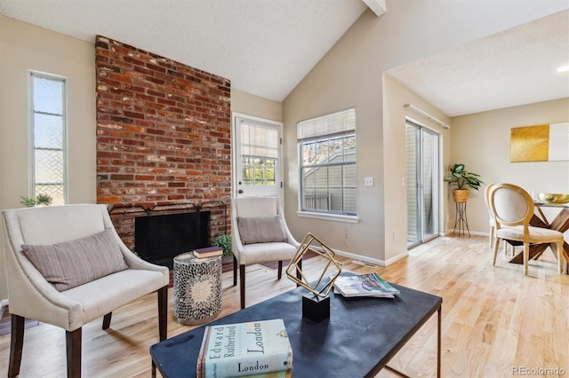 living area with a textured ceiling, light hardwood / wood-style flooring, and a healthy amount of sunlight