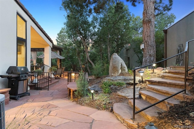2114 Ridge Plaza Dr, Castle Rock, CO 80108 - photo 10