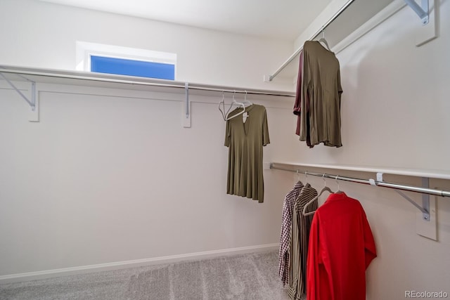 spacious closet featuring carpet flooring