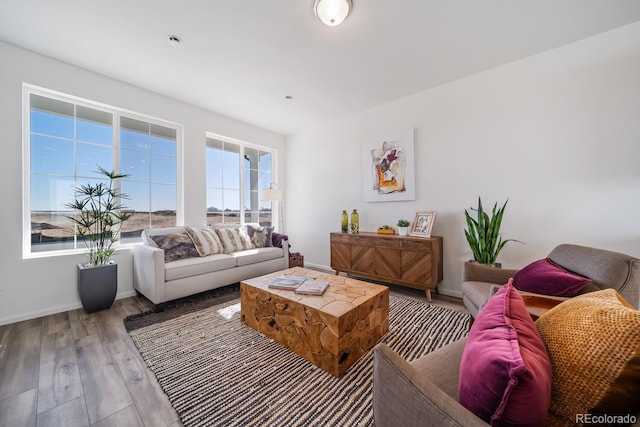 living area with baseboards and wood finished floors