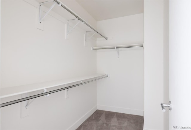 spacious closet with light colored carpet