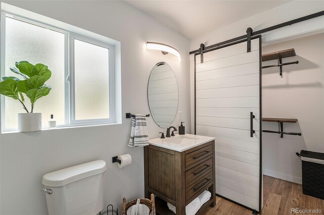2230 S Platte River Rd, Sedalia, CO 80135 - bathroom with vanity, wood finished floors, and toilet