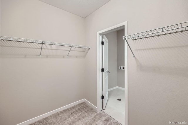 9627 Browns Peak Cir, Littleton, CO 80125 - spacious closet featuring carpet