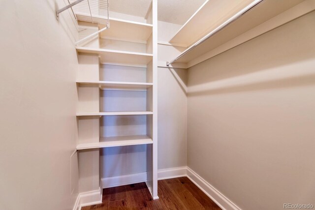 1085 N Lafayette St Unit 704, Denver, CO 80218 - walk in closet with dark wood-type flooring