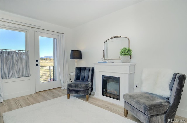 sitting room with hardwood / wood-style floors