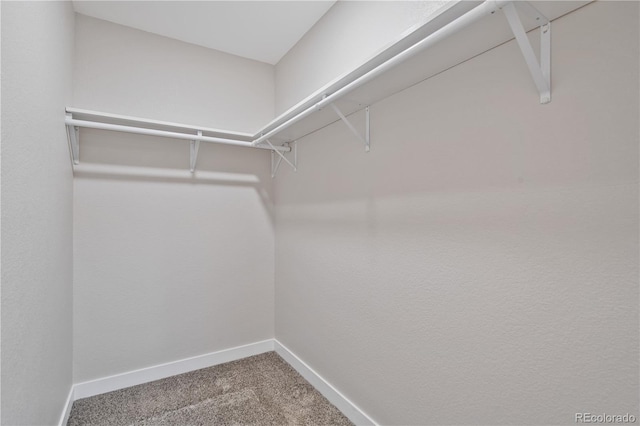 spacious closet with carpet floors