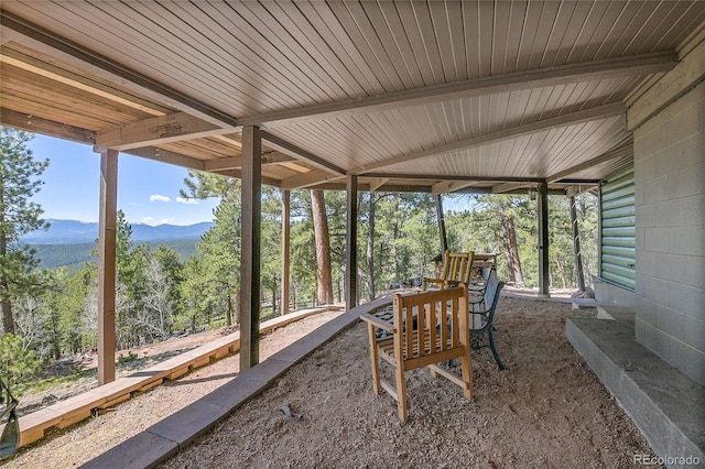 693 Rd C, Pine, CO 80470 - sunroom featuring a mountain view and plenty of natural light