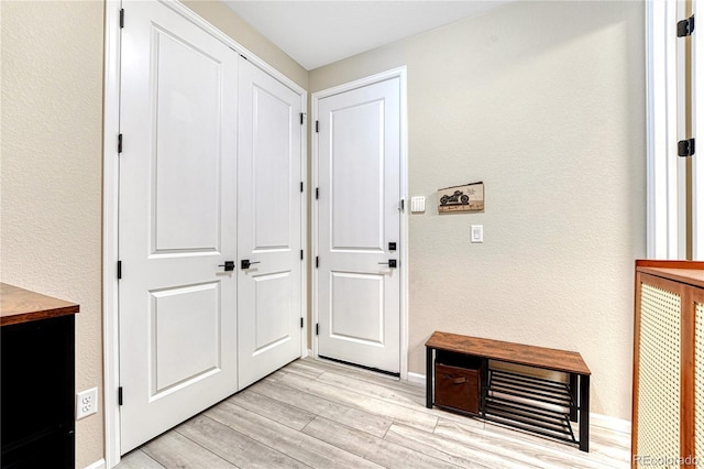 2775 Morningbird Ln, Castle Rock, CO 80109 - foyer entrance featuring light wood-type flooring, a textured wall, and baseboards