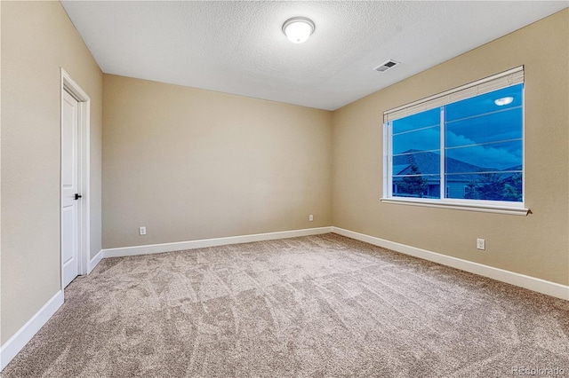 2775 Morningbird Ln, Castle Rock, CO 80109 - unfurnished room with carpet, a textured ceiling, and baseboards