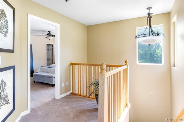9168 W 50th Ln Unit 1, Arvada, CO 80002 - corridor featuring an upstairs landing and carpet