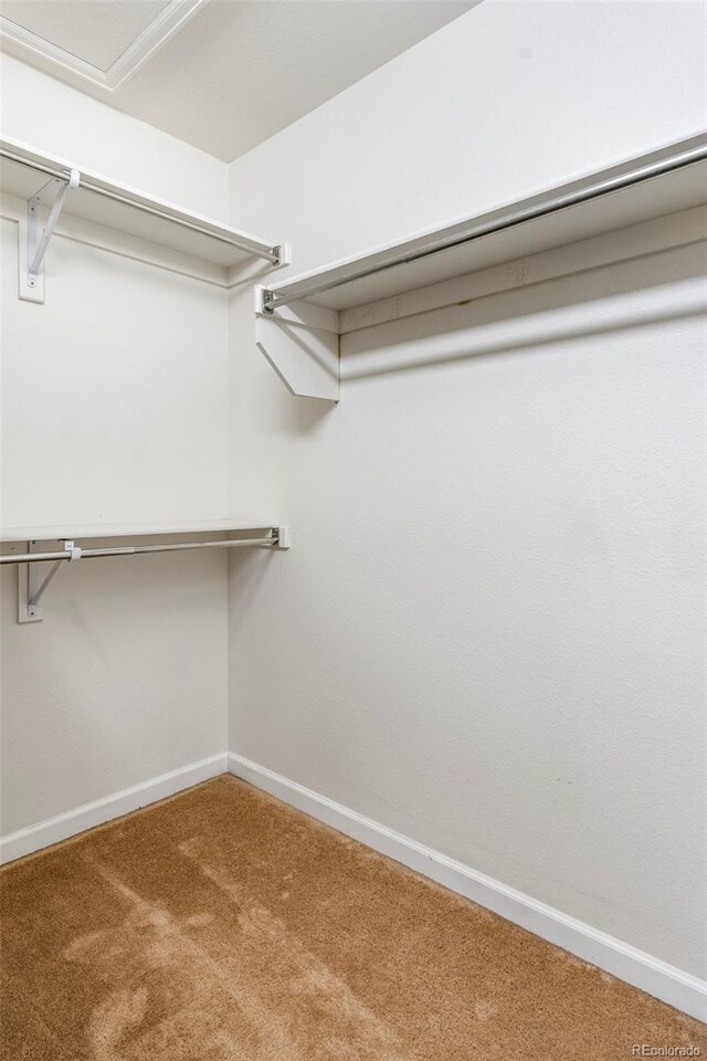 9168 W 50th Ln Unit 1, Arvada, CO 80002 - walk in closet with carpet
