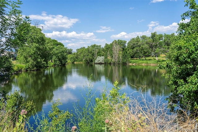 9168 W 50th Ln Unit 1, Arvada, CO 80002 - water view
