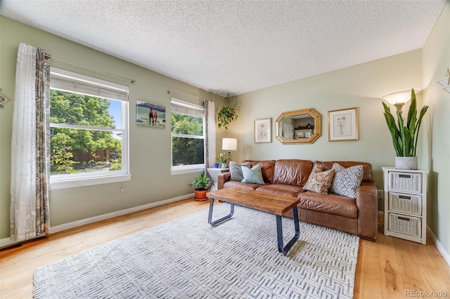1565 Sagrimore Cir, Lafayette, CO 80026 - living room featuring light wood-type flooring and a textured ceiling