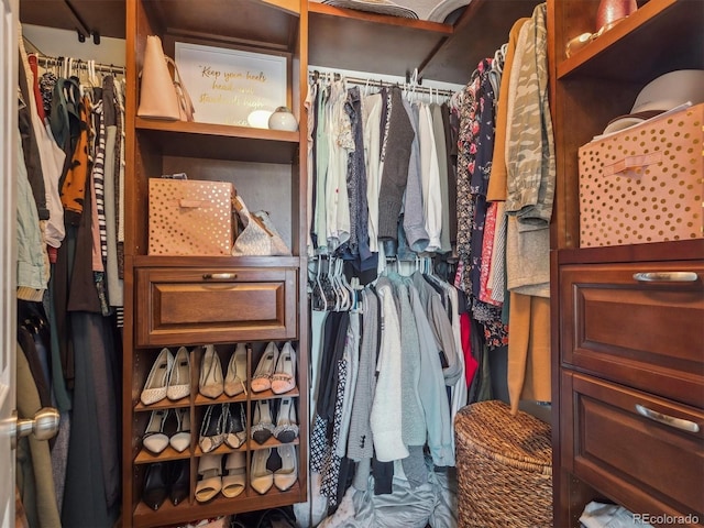 view of spacious closet