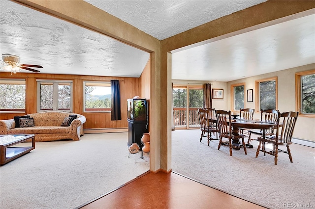 29551 Dorothy Rd, Evergreen, CO 80439 - photo 12