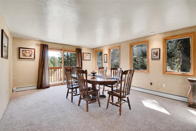 29551 Dorothy Rd, Evergreen, CO 80439 - photo 13