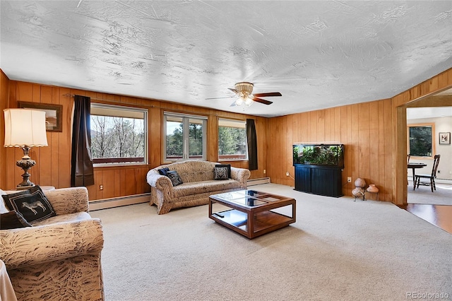 29551 Dorothy Rd, Evergreen, CO 80439 - photo 17