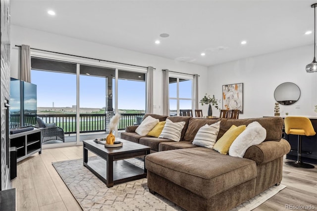 living room with light hardwood / wood-style floors