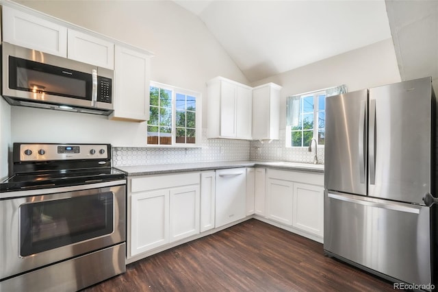 614 W Kiowa St, Colorado Springs, CO 80905 - kitchen featuring appliances with stainless steel finishes, lofted ceiling, dark wood-type flooring, light countertops, and decorative backsplash