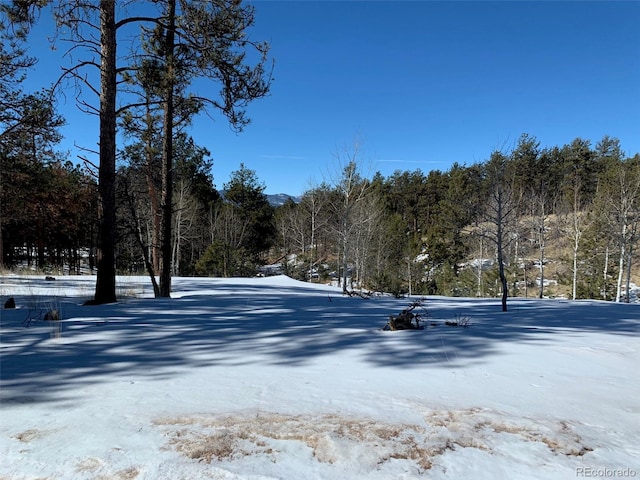 2627 Pikes Peak Dr, Florissant CO, 80816 land for sale