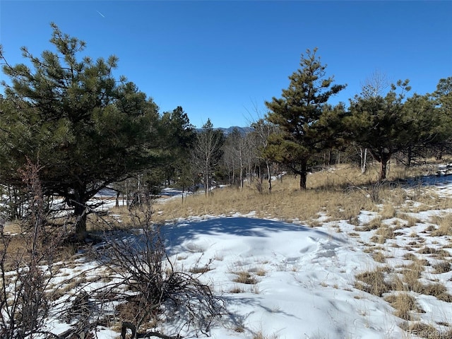 Listing photo 3 for 2627 Pikes Peak Dr, Florissant CO 80816