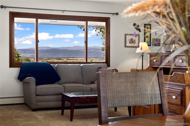 5424 N County Road 3, Fort Collins, CO 80524 - photo 7