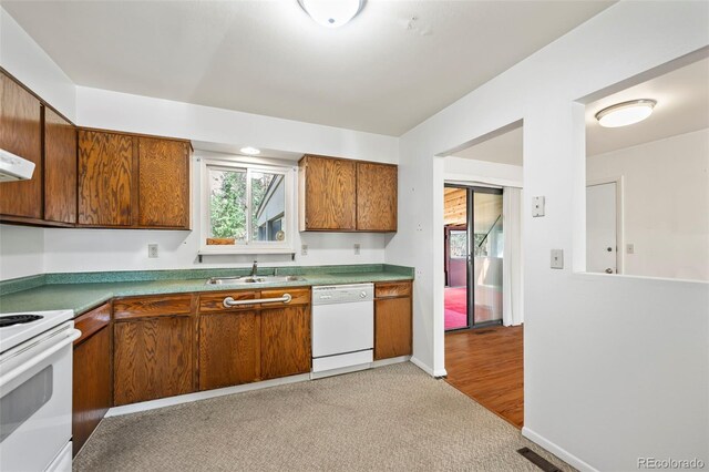 kitchen featuring white appliances, sink, range hood, and light colored carpet