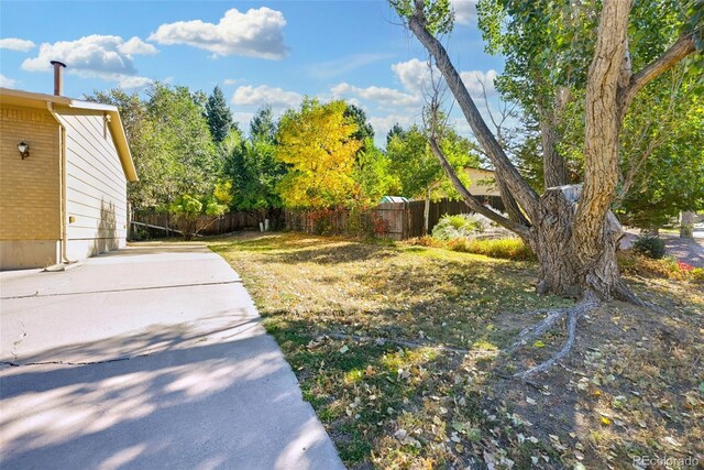 view of yard featuring a patio area