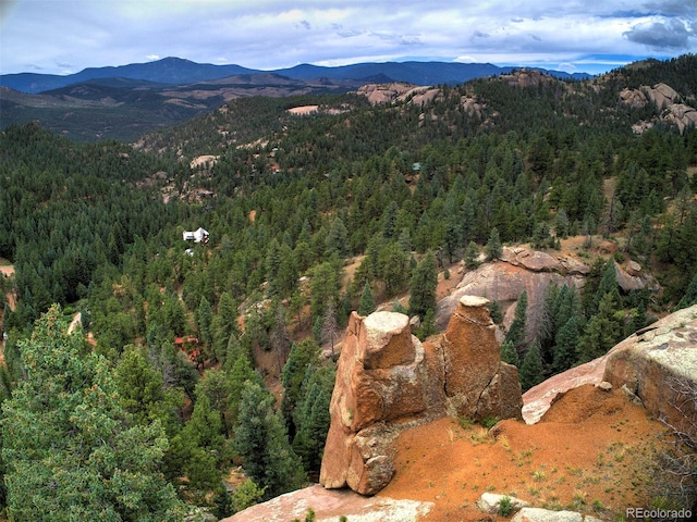 birds eye view of property featuring a mountain view