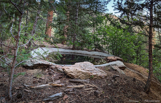 view of landscape featuring a view of trees