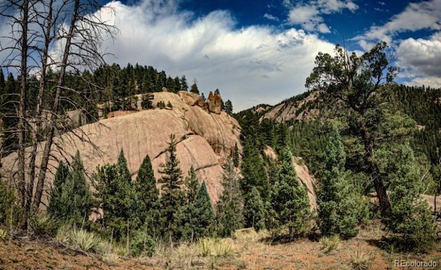 view of mountain feature