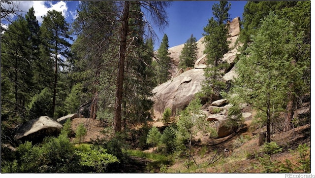 view of landscape with a wooded view