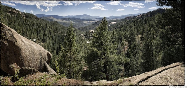 view of mountain feature featuring a forest view