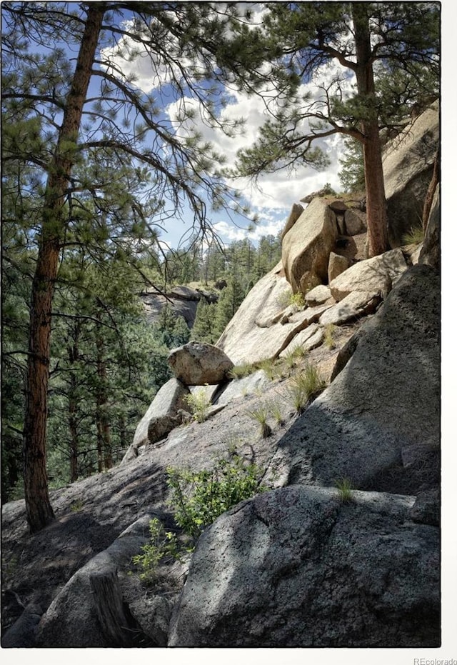 view of local wilderness