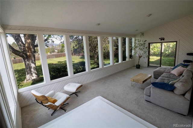 sunroom / solarium featuring carpet flooring and wooden walls