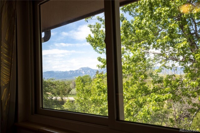 detailed view of a mountain view