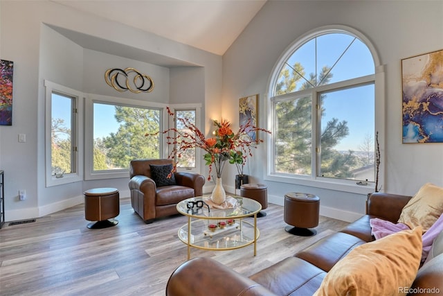 2770 Rossmere St, Colorado Springs, CO 80919 - living room featuring high vaulted ceiling and wood finished floors