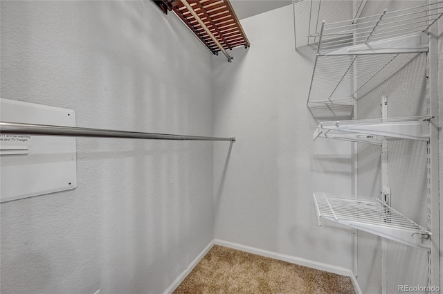 spacious closet with carpet floors