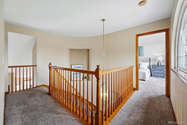 9515 Dolton Way, Highlands Ranch, CO 80126 - hall with carpet, an upstairs landing, and baseboards