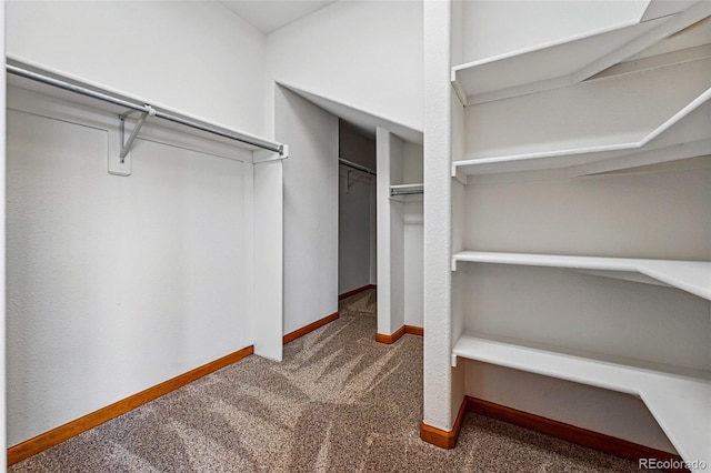 9515 Dolton Way, Highlands Ranch, CO 80126 - spacious closet with carpet