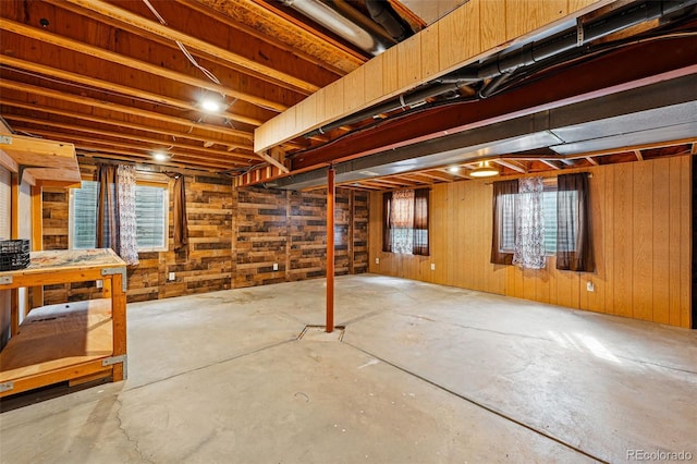 9515 Dolton Way, Highlands Ranch, CO 80126 - below grade area with healthy amount of natural light and wooden walls