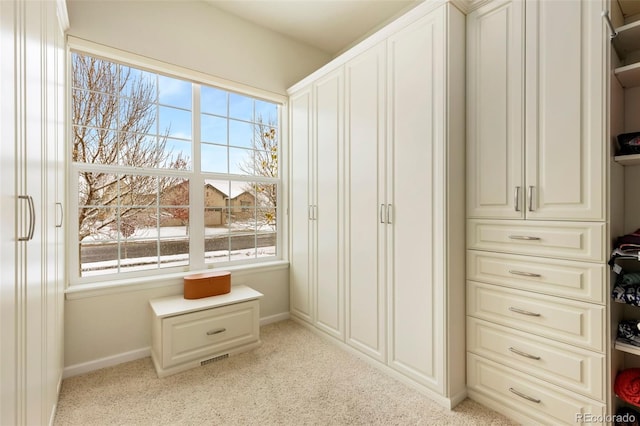 view of closet