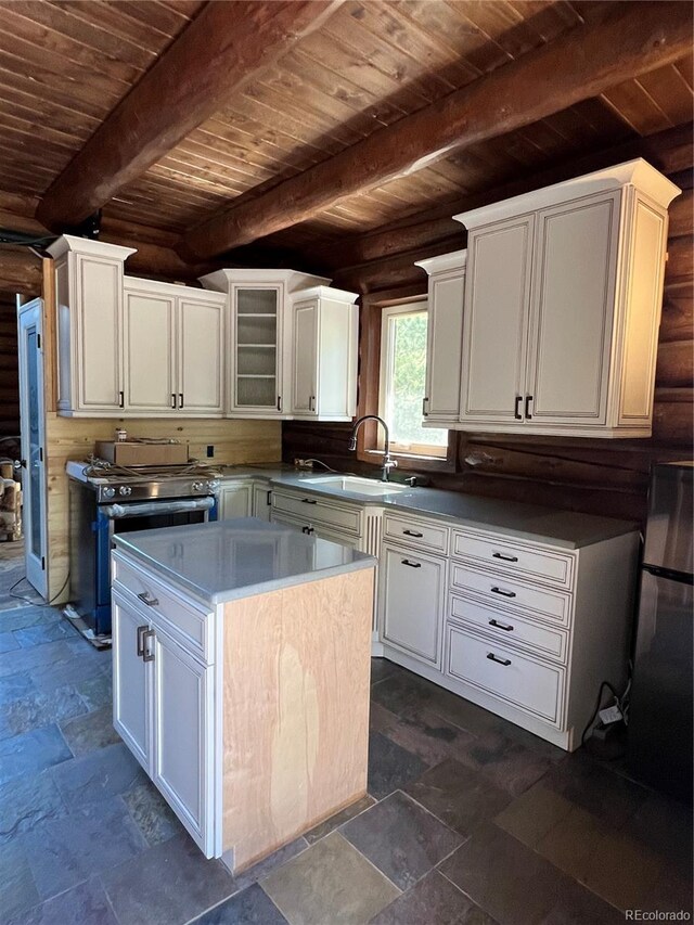 160 Birch Dr, Twin Lakes, CO 81251