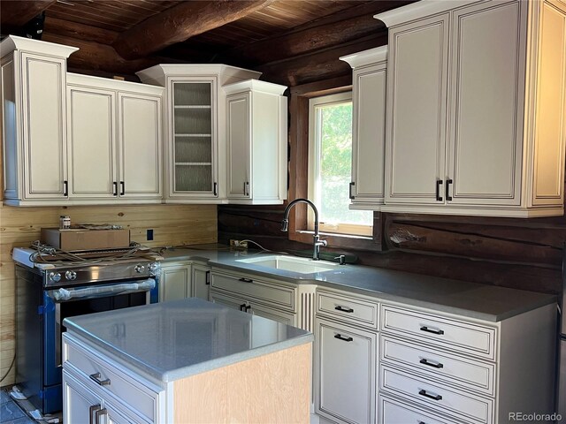 160 Birch Dr, Twin Lakes, CO 81251