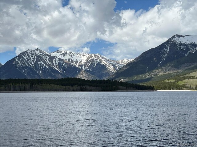 160 Birch Dr, Twin Lakes, CO 81251