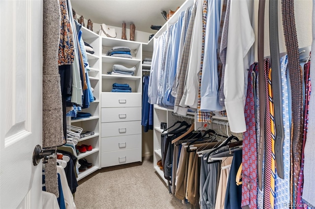 walk in closet with carpet floors